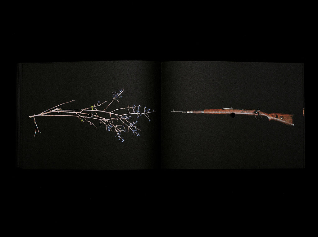 once a year the stick shoots